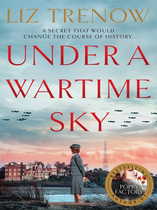 Title details for Under a Wartime Sky by Liz Trenow - Wait list